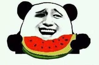 娱乐吃瓜最后一集是什么,揭秘娱乐圈真相,悬念揭晓!